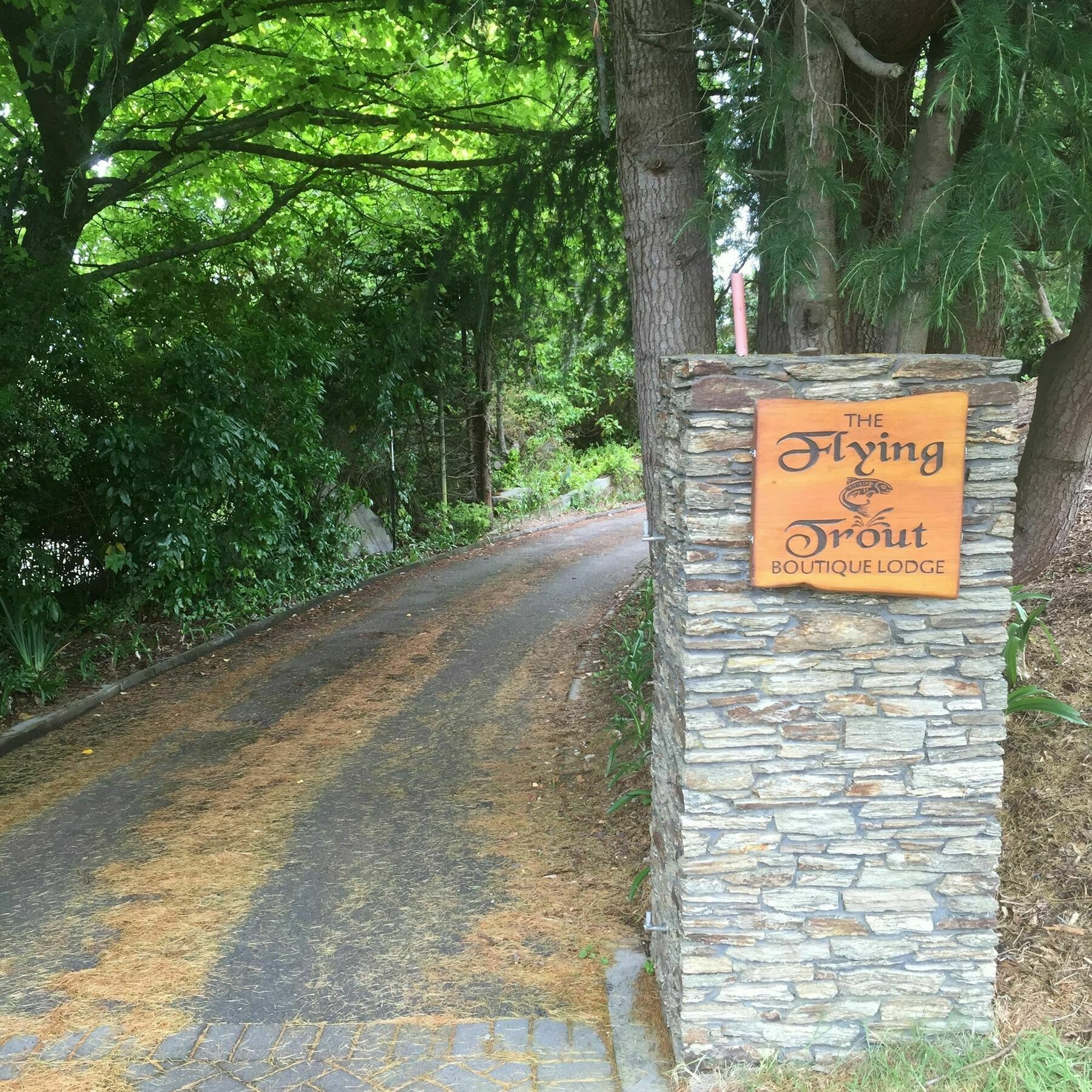 The Flying Trout Boutique Lodge Taupo Eksteriør billede